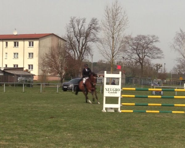 Reitturnier Großwoltersdorf 2022
