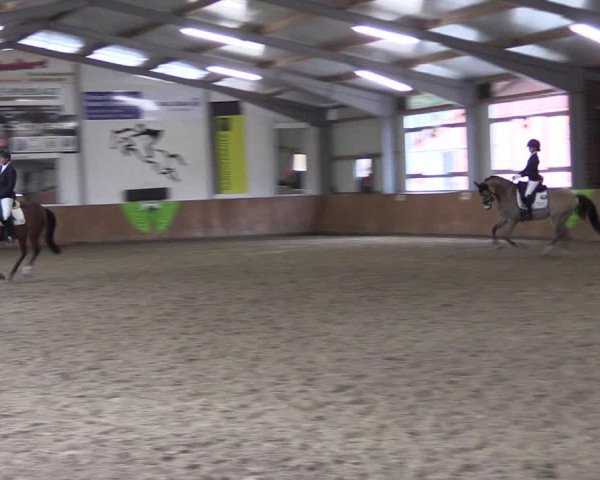 Reitturnier Dohren 2022