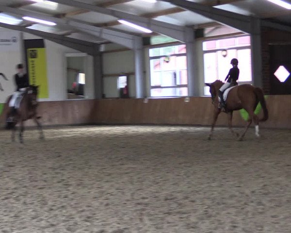 Reitturnier Dohren 2022