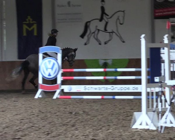 Reitturnier Dohren 2022