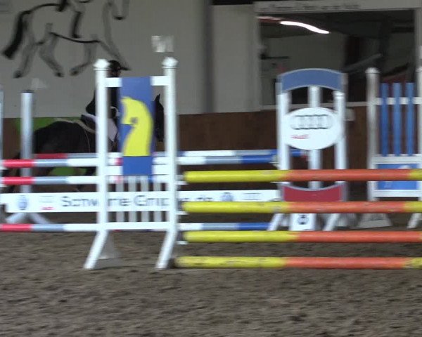Reitturnier Dohren 2022