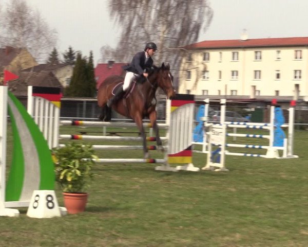 Reitturnier Großwoltersdorf 2022