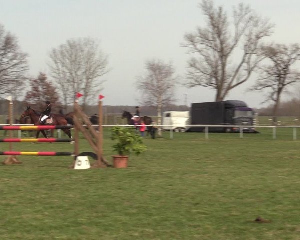Reitturnier Großwoltersdorf 2022