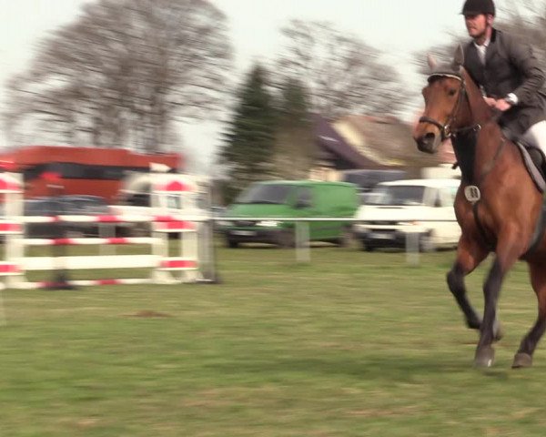 Reitturnier Großwoltersdorf 2022
