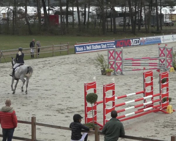 FEI Reitturnier Westergellersen (GER) 2022
