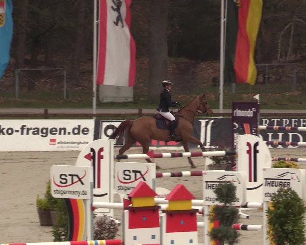 FEI Reitturnier Westergellersen (GER) 2022
