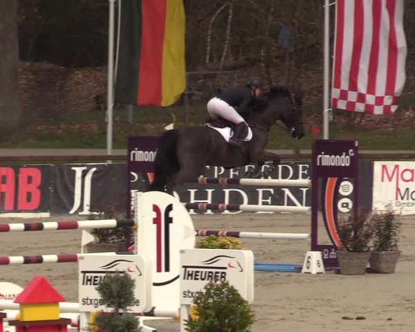FEI Reitturnier Westergellersen (GER) 2022