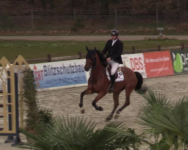 FEI Reitturnier Westergellersen (GER) 2022