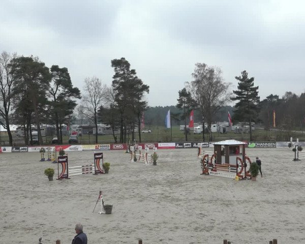 FEI Reitturnier Westergellersen (GER) 2022