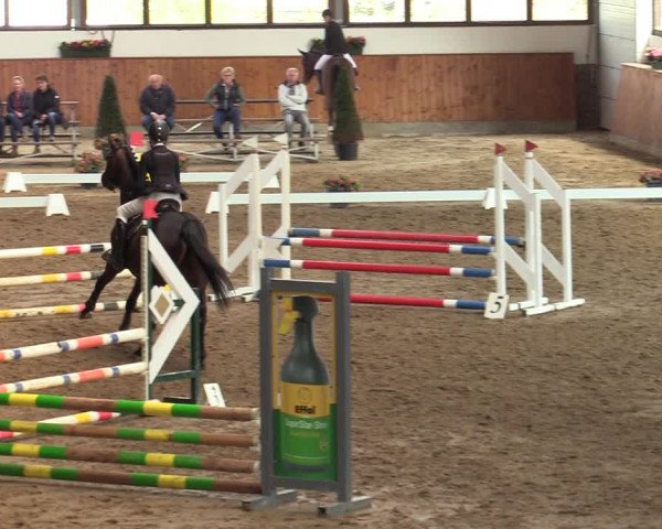 Reitturnier Werne-Lenklar 2022