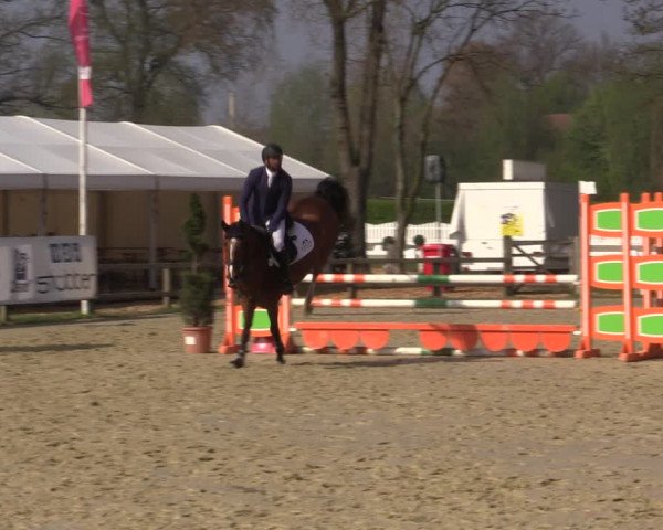 Reitturnier Münster-Handorf | Late Entry 2022