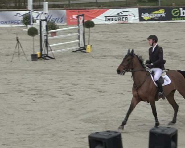 FEI Reitturnier Westergellersen (GER) 2022