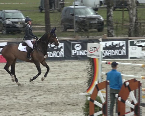 FEI Reitturnier Westergellersen (GER) 2022