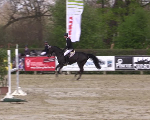 Reitturnier Münster-Handorf | Late Entry 2022