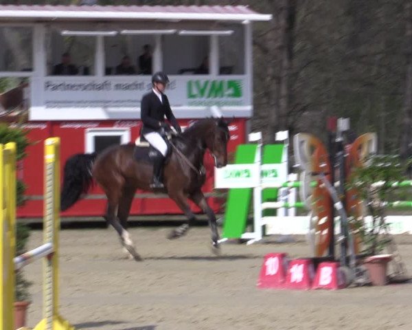 Reitturnier Münster-Handorf | Late Entry 2022