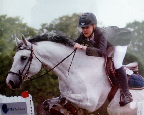 horse Armstrong (Holsteiner, 1997, from Alasca)