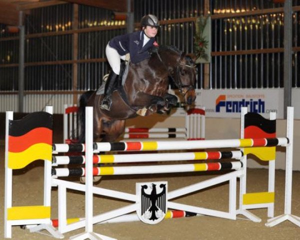 stallion Casanova (German Riding Pony, 2007, from Cyriac WE)