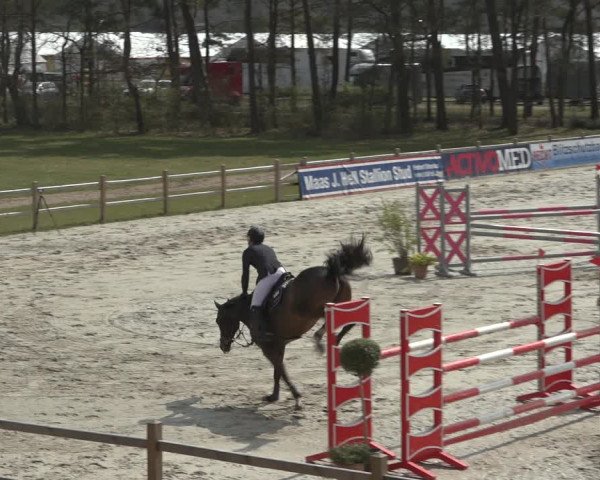 FEI Reitturnier Westergellersen (GER) 2022
