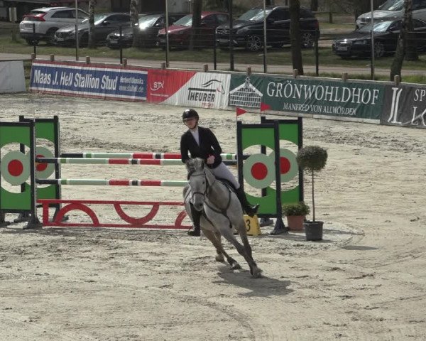 FEI Reitturnier Westergellersen (GER) 2022