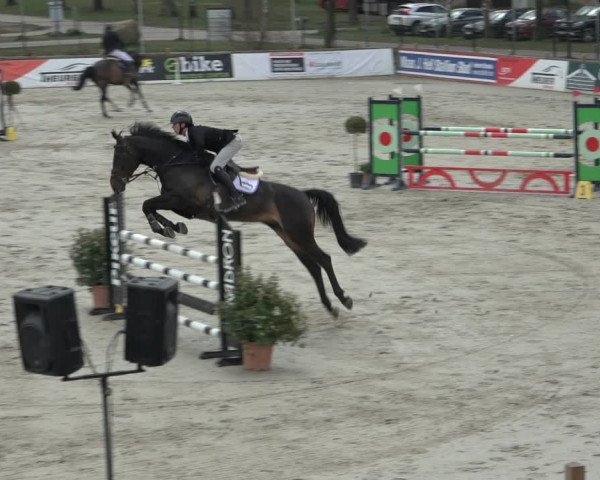 FEI Reitturnier Westergellersen (GER) 2022