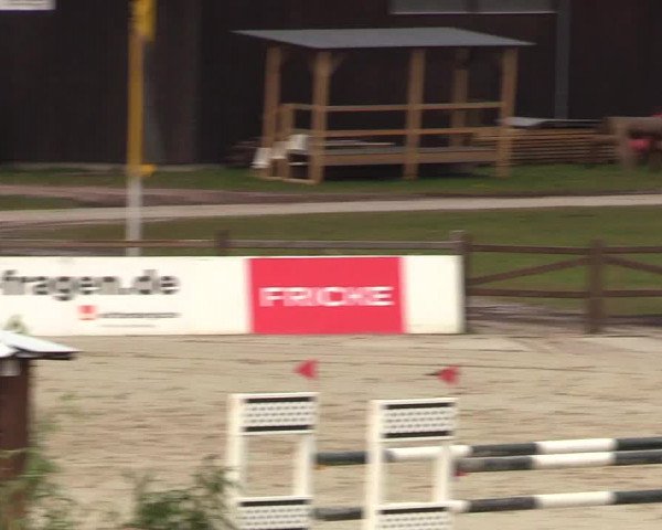 FEI Reitturnier Westergellersen (GER) 2022