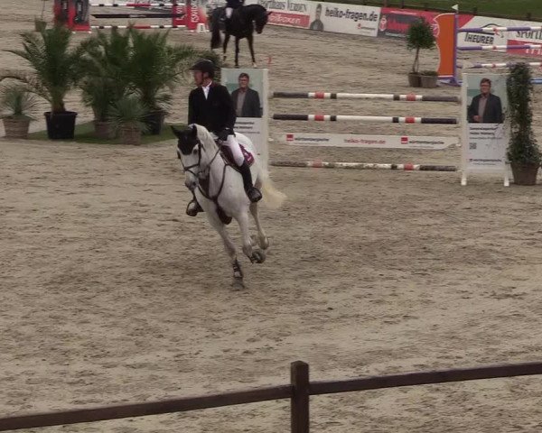 FEI Reitturnier Westergellersen (GER) 2022