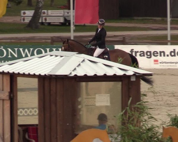 FEI Reitturnier Westergellersen (GER) 2022