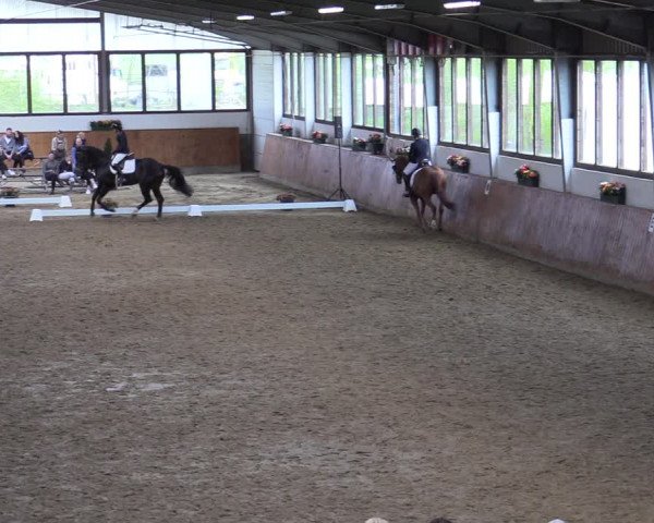 Lenklarer Reitertage 2022 (Werne)