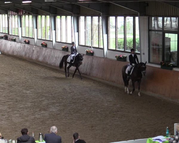 Reitturnier Werne-Lenklar 2022