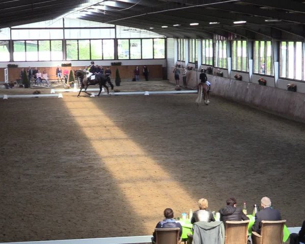 Reitturnier Werne-Lenklar 2022