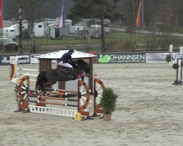 FEI Reitturnier Westergellersen (GER) 2022