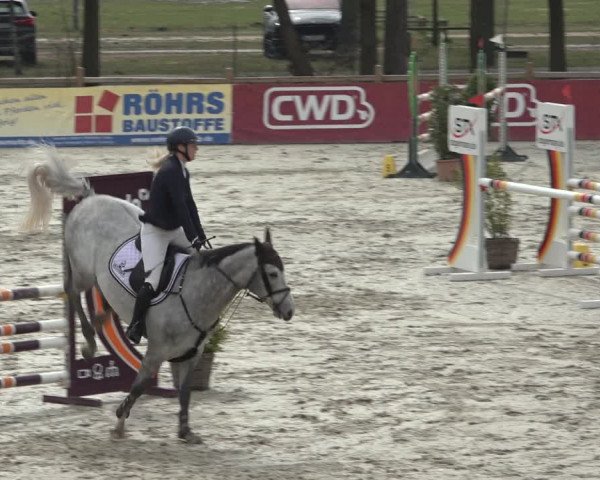 FEI Reitturnier Westergellersen (GER) 2022