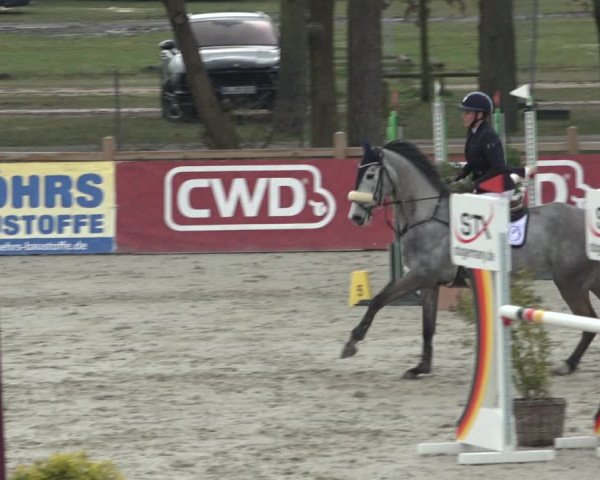 FEI Reitturnier Westergellersen (GER) 2022