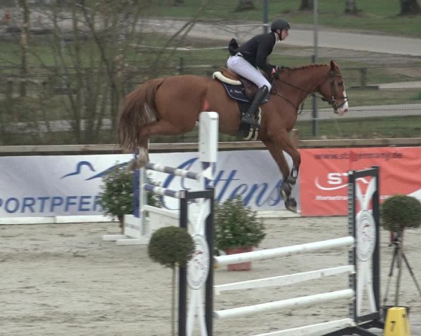FEI Reitturnier Westergellersen (GER) 2022