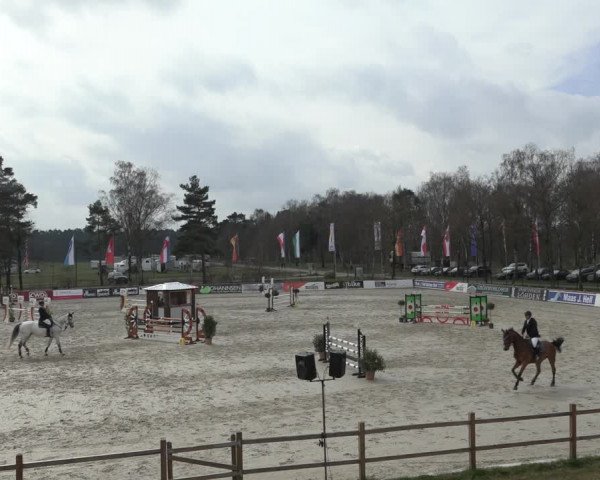 FEI Reitturnier Westergellersen (GER) 2022