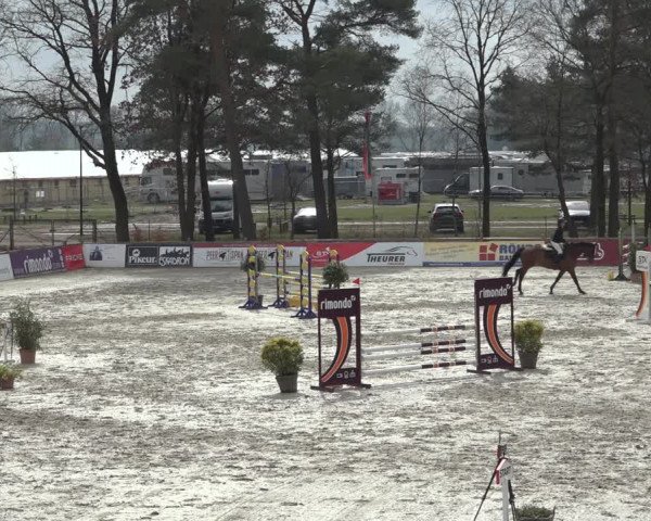 FEI Reitturnier Westergellersen (GER) 2022