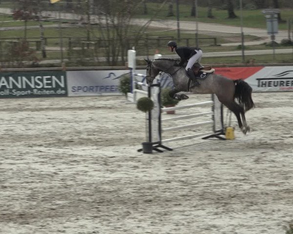 FEI Reitturnier Westergellersen (GER) 2022