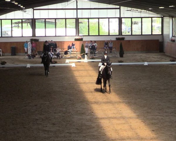 Lenklarer Reitertage 2022 (Werne)