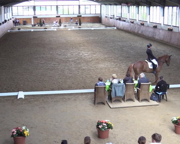 Lenklarer Reitertage 2022 (Werne)