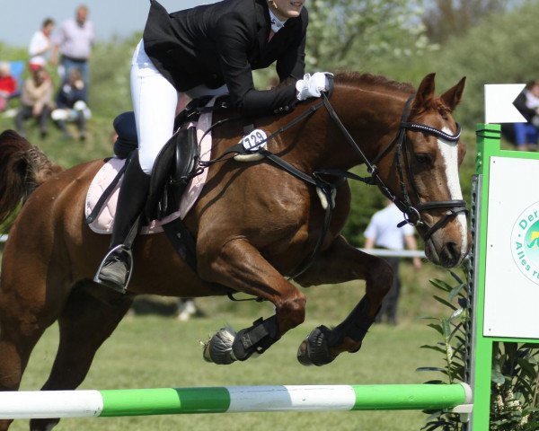 jumper Mirek (German Riding Pony, 1998, from Mentos)
