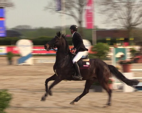 Reitturnier Werne-Lenklar 2022