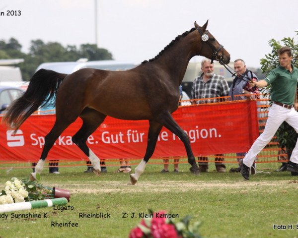 dressage horse Lady Sunnshine K (Rhinelander, 2009, from Lugato)