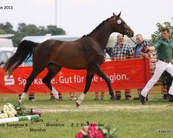 dressage horse Lady Sunnshine K (Rhinelander, 2009, from Lugato)