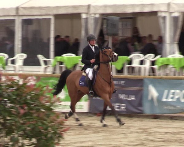 Reitturnier Werne-Lenklar 2022