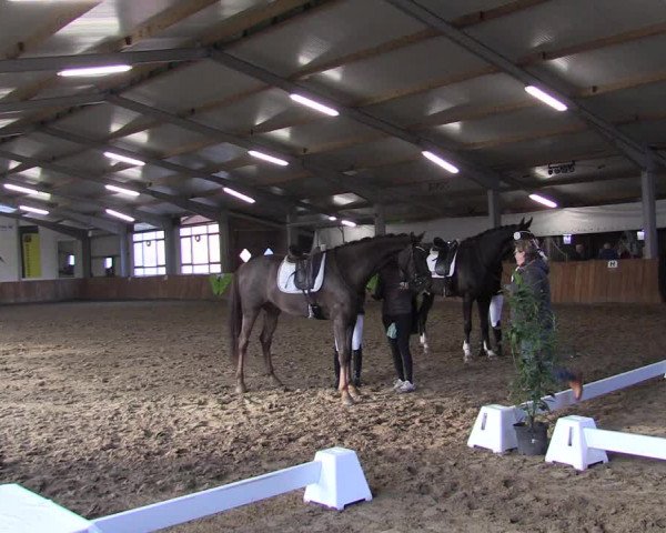 Reitturnier Dohren 2022