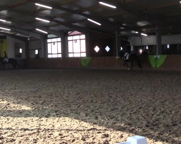 Reitturnier Dohren 2022