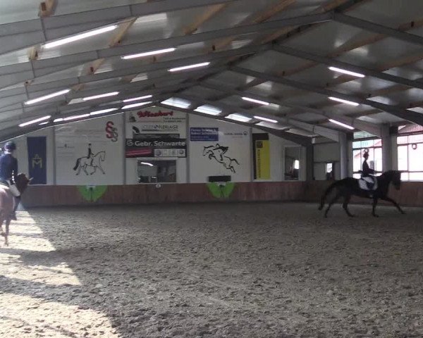 Reitturnier Dohren 2022