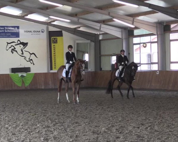 Reitturnier Dohren 2022