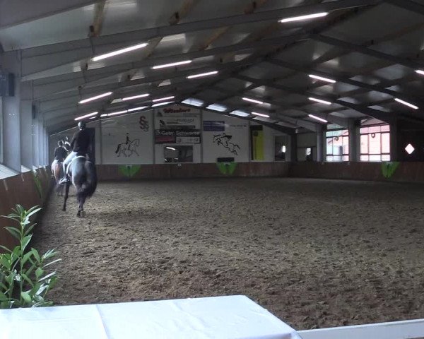 Reitturnier Dohren 2022
