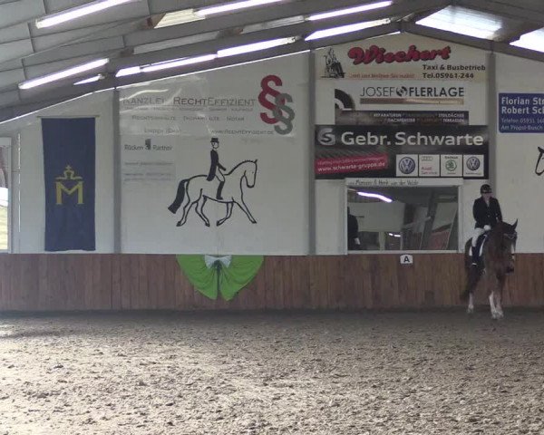 Reitturnier Dohren 2022